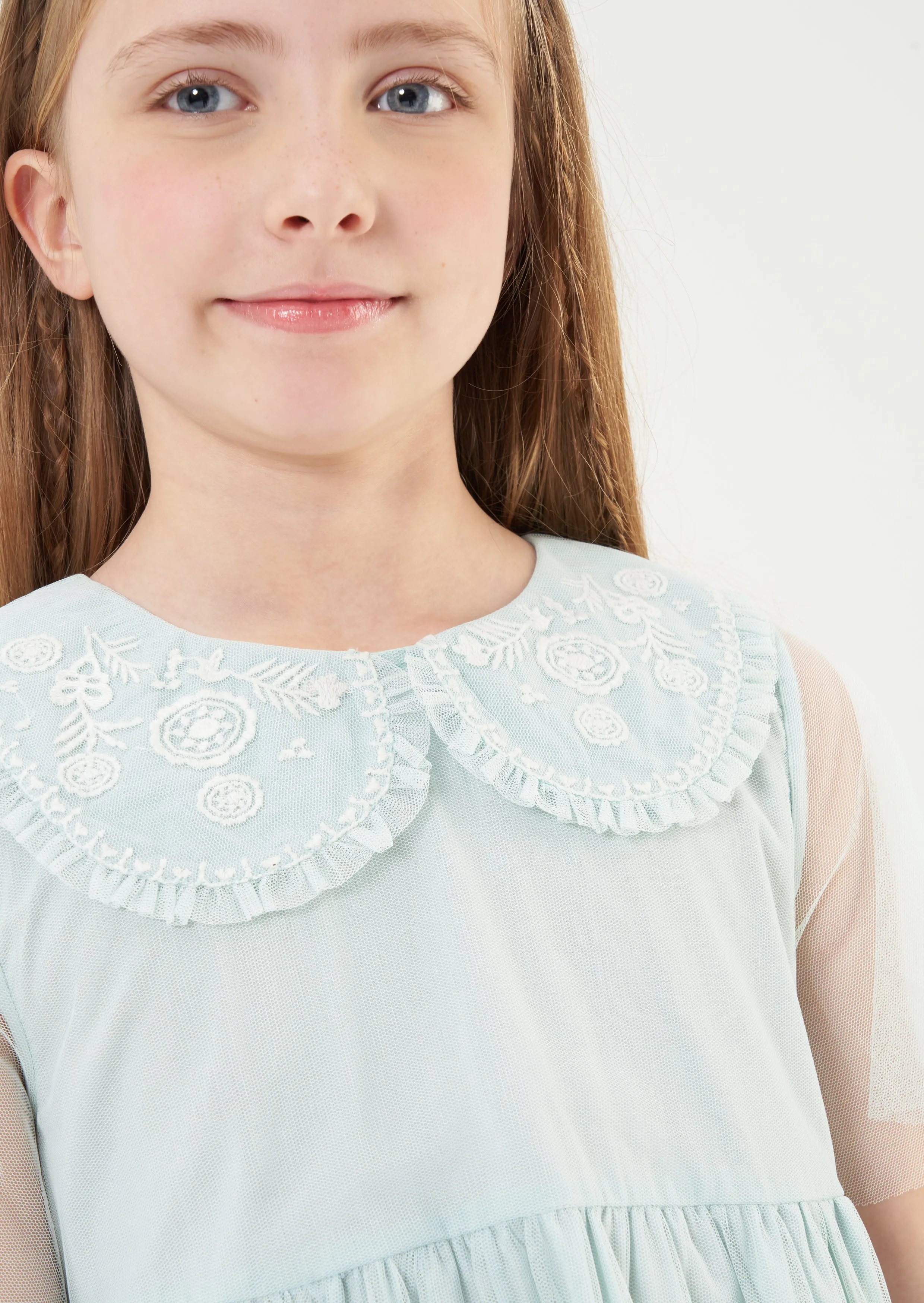 Daisy Embroidered Collar Mesh Dress