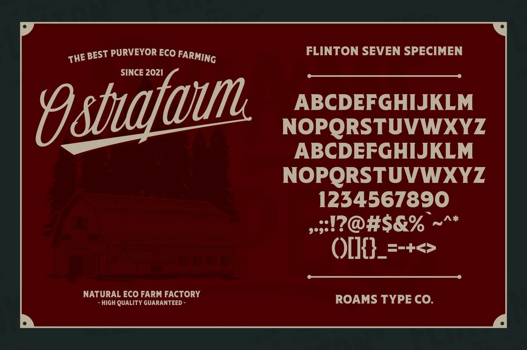 FLINTON Font Bundle