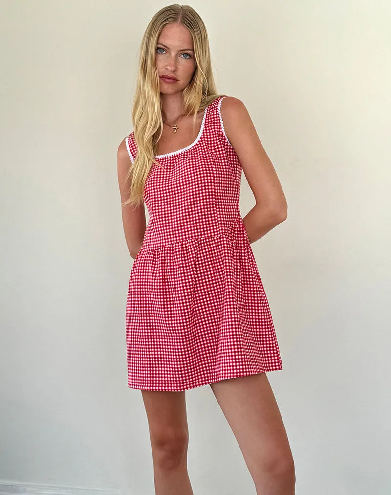 Leshi Mini Dress in Red Gingham