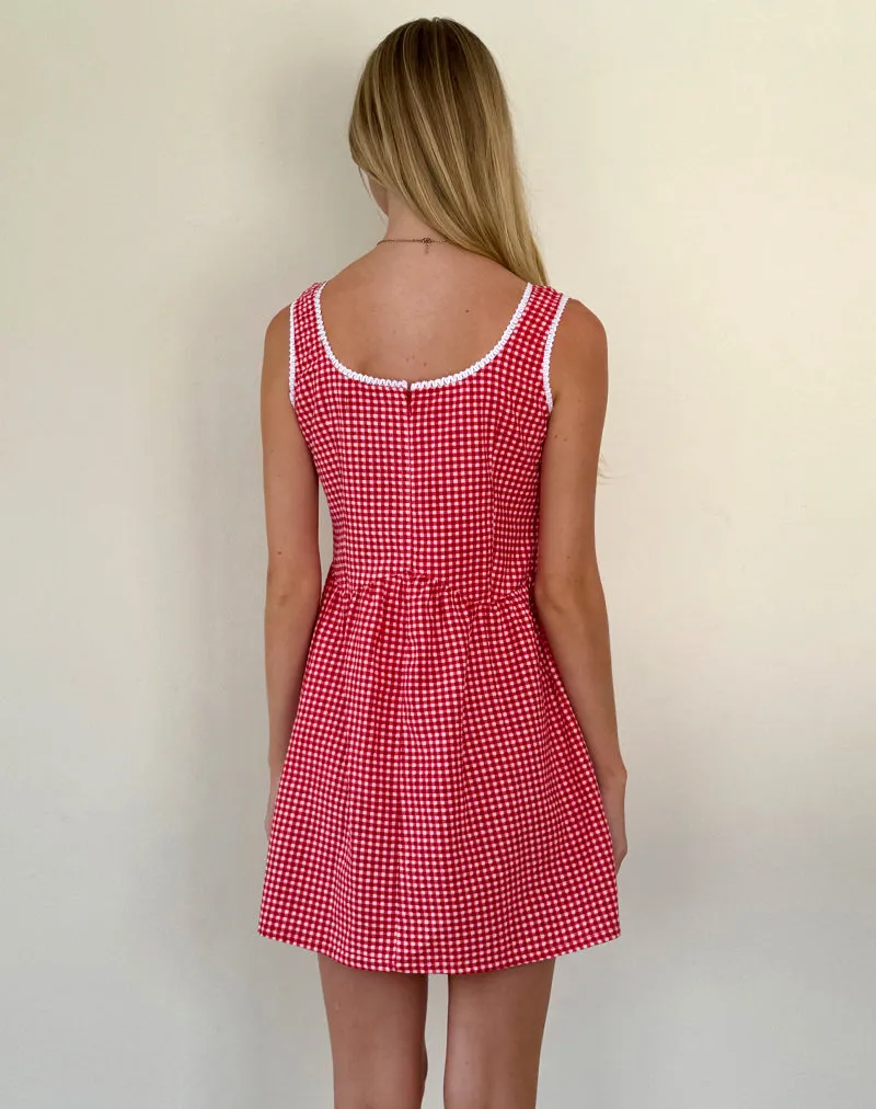 Leshi Mini Dress in Red Gingham